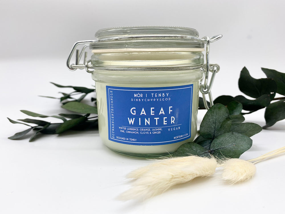 Gaeaf - Winter Môr Glass Clip Candle